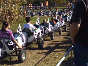 Right Choices Cow Train